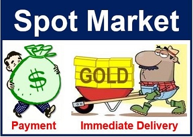 Spot Forex Market