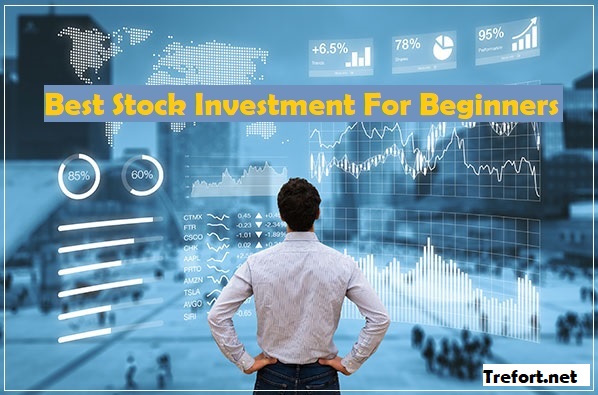 best stock investment for beginners