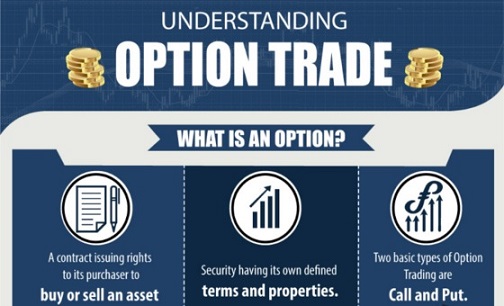 options trade investment for beginners